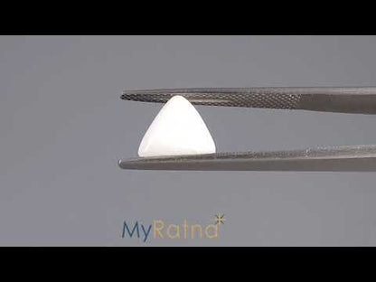 White Coral - 2.82 Carats