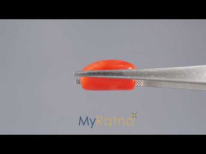 Red Coral (Moonga) - 11.52 Carats