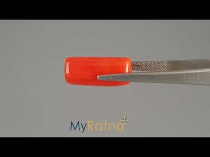 Red Coral - 17.31 Carats (Moonga - 18.87 Ratti)