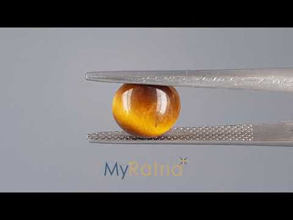 Tiger Eye - 2.13 Carats