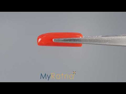 Red Coral (Moonga) - 7.89 Carats