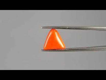 Red Coral (Moonga) - 2.95 Carats