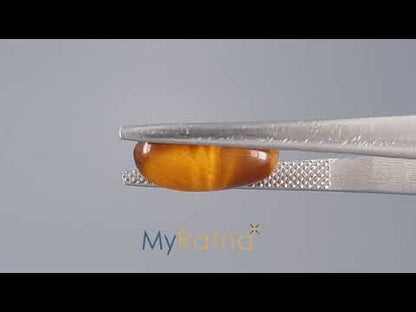 Tiger Eye - 4.03 Carats