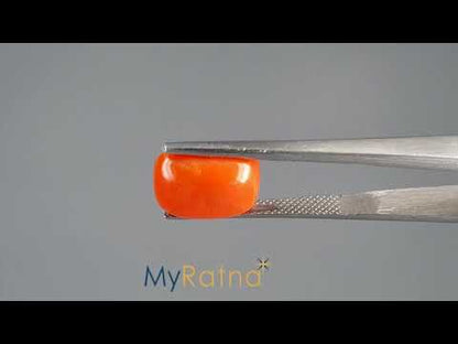 Red Coral (Moonga) - 4.98 Carats