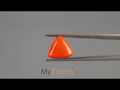 Red Coral (Moonga) - 3.54 Carats