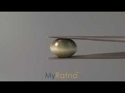 Cats Eye (Lehsunia) - 8.91 Carats
