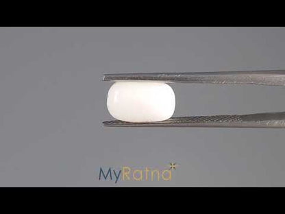 White Coral - 3.09 Carats