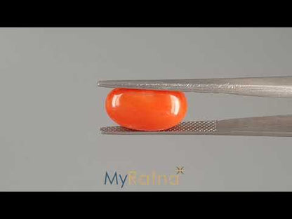 Red Coral (Moonga) - 5.28 Carats