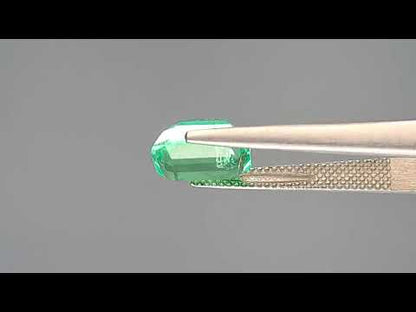 Emerald (Panna) - 3.50 Carats