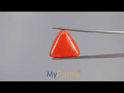 Red Coral (Moonga) - 11.37 Carats