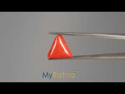 Red Coral (Moonga) - 5.32 Carats