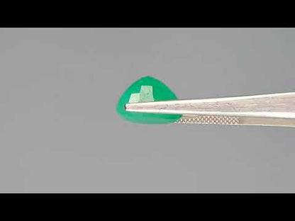 Emerald (Panna) - 6.89 Carats