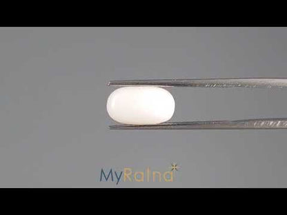 White Coral - 3.17 Carats