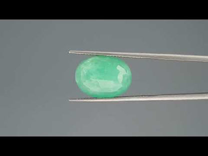 Emerald (Panna) - 7.31 Carats