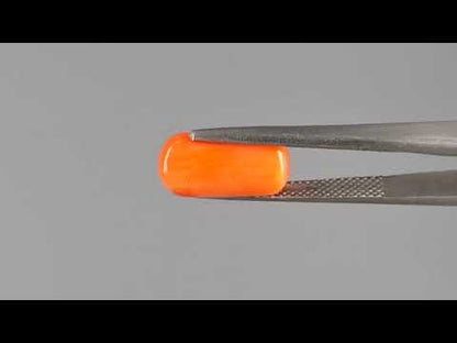 Red Coral (Moonga) - 4.61 Carats