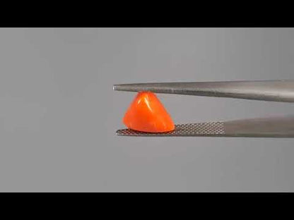 Red Coral - 3.71 Carats (Moonga - 4.04 Ratti)