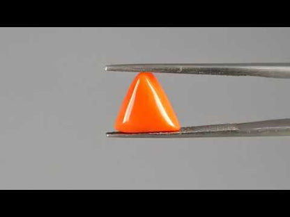 Red Coral (Moonga) - 3.41 Carats