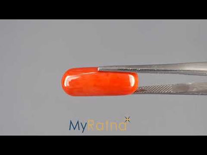 Red Coral (Moonga) - 12.85 Carats
