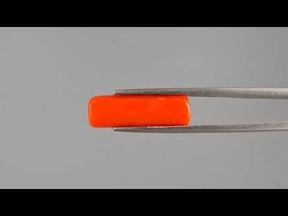 Red Coral - 6.43 Carats (Moonga - 7.01 Ratti)