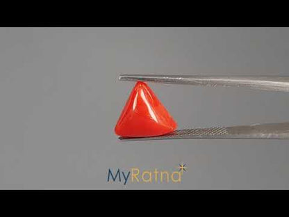 Red Coral (Moonga) - 4.91 Carats