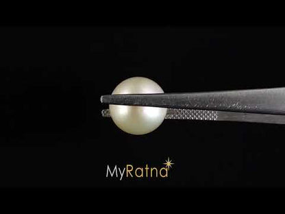 South Sea Pearl (Moti) - 7.25 Carats