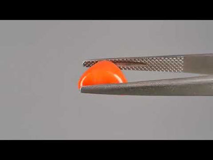 Red Coral (Moonga) - 3.33 Carats