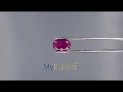 Ruby - 8.01 Carats (Manik - 8.73 Ratti)