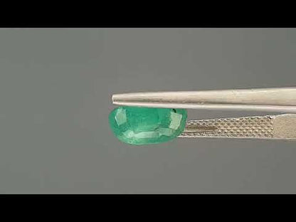 Emerald (Panna) - 2.61 Carats