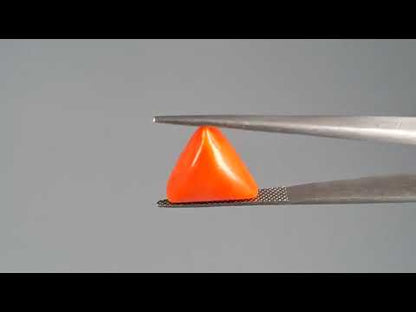 Red Coral - 8.51 Carats (Moonga - 9.28 Ratti)