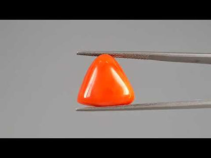 Red Coral - 16.63 Carats (Moonga - 18.13 Ratti)