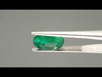 Emerald (Panna) - 4.19 Carats