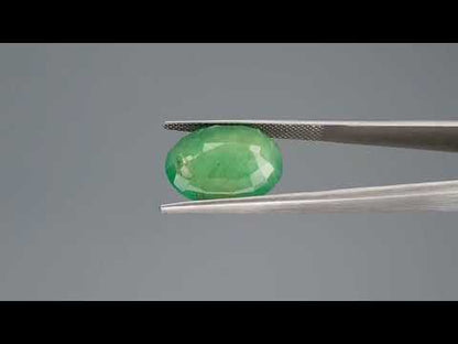 Emerald (Panna) - 8.47 Carats