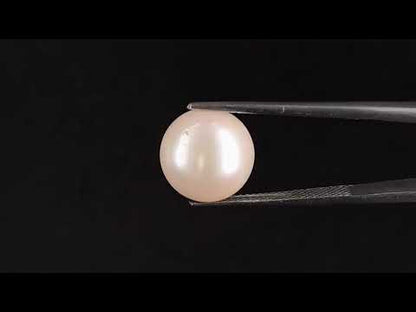 South Sea Pearl (Moti) - 11.23 Carats