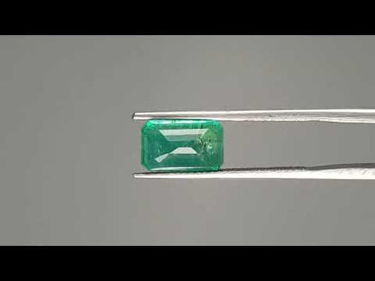 Emerald (Panna) - 2.68 Carats