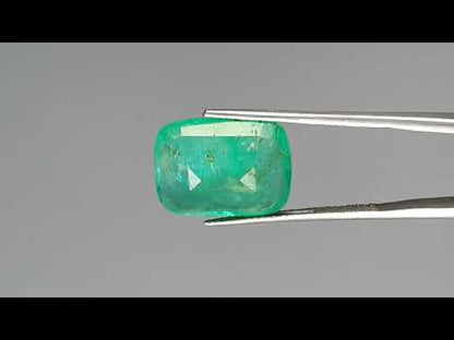 Emerald (Panna) - 9.96 Carats