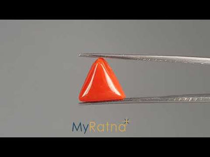 Red Coral (Moonga) - 5.11 Carats