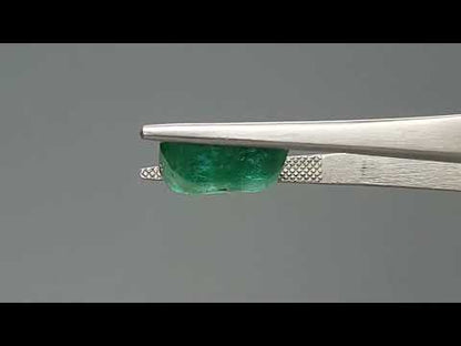 Emerald (Panna) - 8.25 Carats