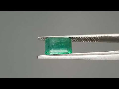 Emerald (Panna) - 3.02 Carats