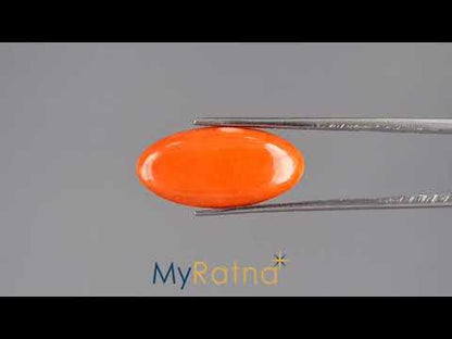Red Coral - 6.29 Carats (Moonga - 6.86 Ratti)