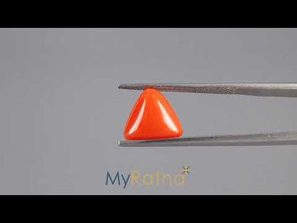 Red Coral (Moonga) - 3.66 Carats