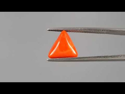 Red Coral (Moonga) - 2.94 Carats