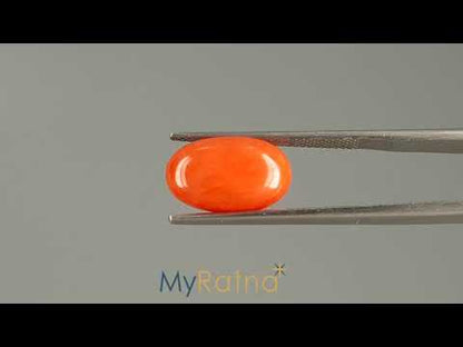 Red Coral (Moonga) - 5.17 Carats