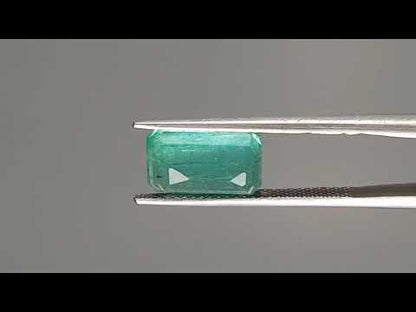 Emerald (Panna) - 3.07 Carats