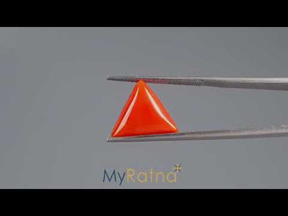 Red Coral (Moonga) - 5.99 Carats