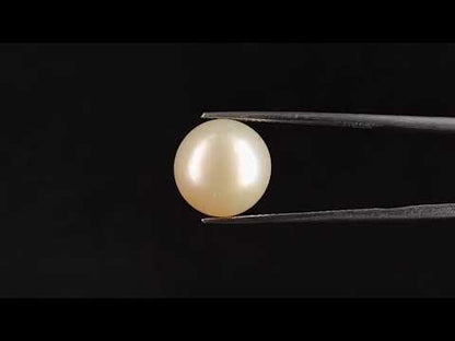 South Sea Pearl - 10.09 Carats (Moti - 11.00 Ratti)