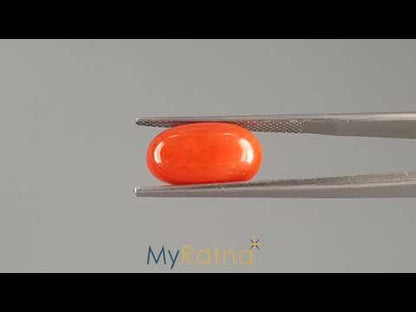 Red Coral (Moonga) - 5.78 Carats