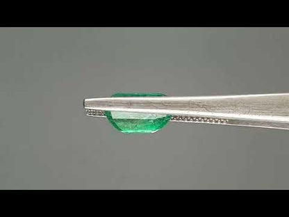 Emerald (Panna) - 3.11 Carats