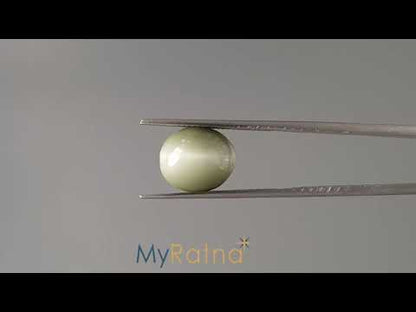 Cat's Eye - 6.31 Carats (Lahsuniya - 6.88 Ratti)