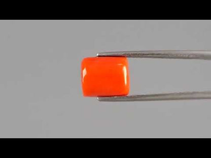 Red Coral (Moonga) - 5.23 Carats