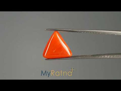 Red Coral (Moonga) - 5.65 Carats